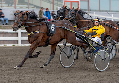Kuva: Teemu Kangas