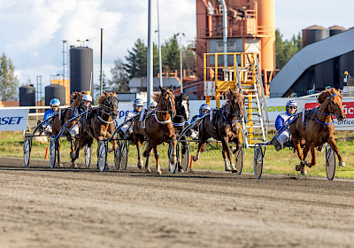 Bussikuljetus Oulusta Laivakankaan ravilauantaihin 27.9.