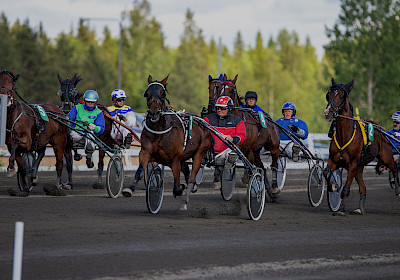 Laivakankaan klinikalla kraniosakraalihoitojen ammattilaisen Päivi Sirviön vastaanotto 6.11.2025