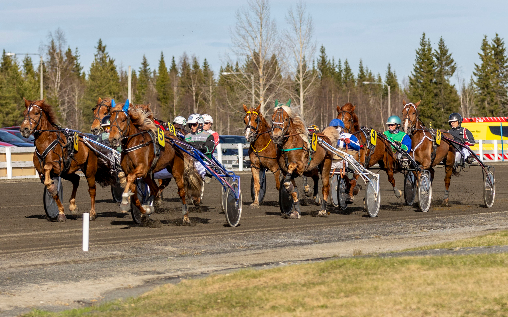 Länsi-Lapin Hevosystävät ry:n sääntömääräinen syyskokous torstaina 11.12.2025 klo 18