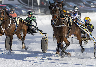 Eläinlääkäri Jutta Ojalan vastaanotto 13.1.2026 Tornion Laivakankaalla