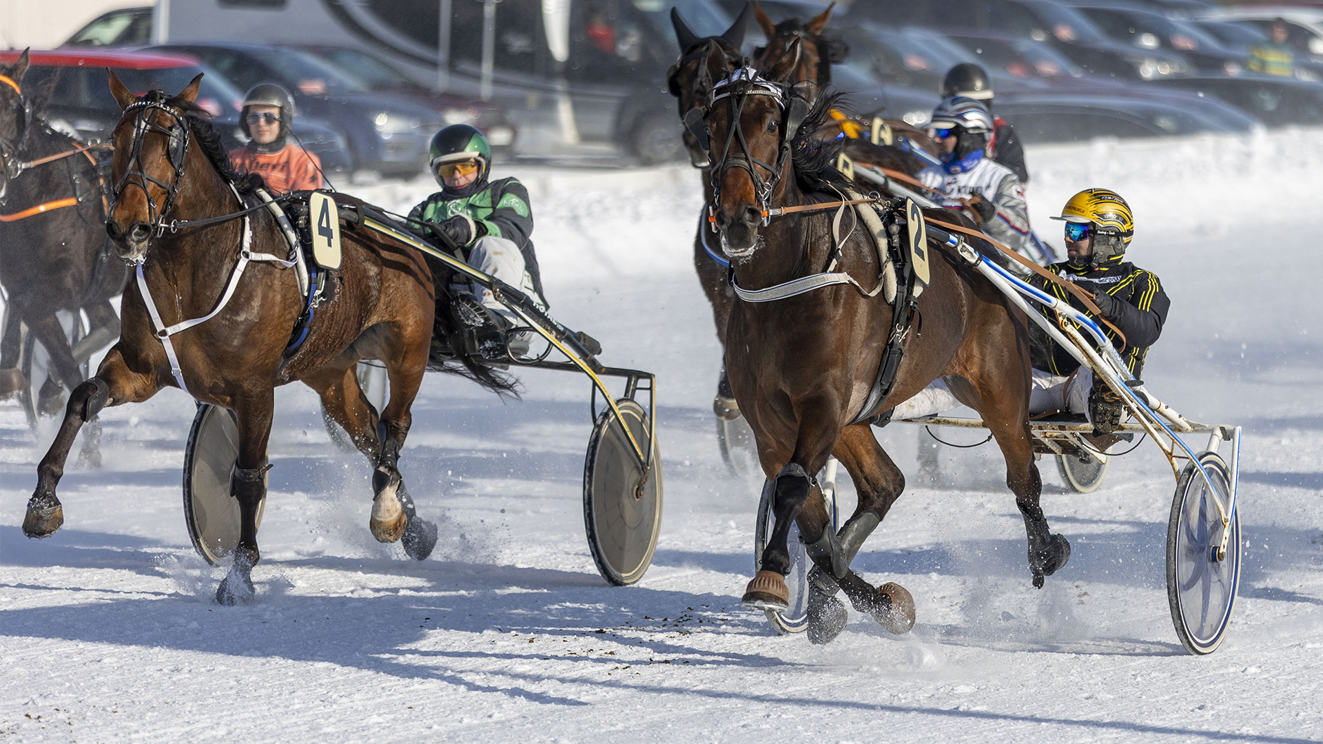 Eläinlääkäri Jutta Ojalan vastaanotto 13.1.2026 Tornion Laivakankaalla