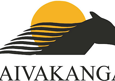 Tiedote Tornion 19.4. ravien lähdön kuusi tapahtumista